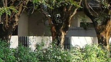 Rumah Siap Huni di Kawasan Green Ville, Jakarta Barat, LT 150m²