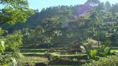 Jual Tanah Area Cluster Babakan View Danau dan Taman