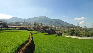 Kavling Prestisius Dijual di Jatinangor, Sumedang, Harga 45 Miliar