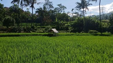 For Sale Tanah Eksklusif di Jatinangor, Sumedang, LT 15000m²