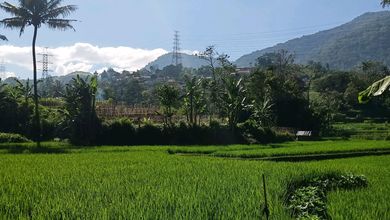 For Sale Tanah Premium di Jatinangor, Sumedang, LT 15000m²