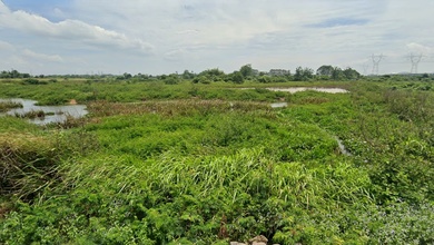 For Sale Tanah Premium di Balaraja, Tangerang, LT 27000m²