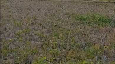 Kavling Komplek x  Area Majalengka Kota