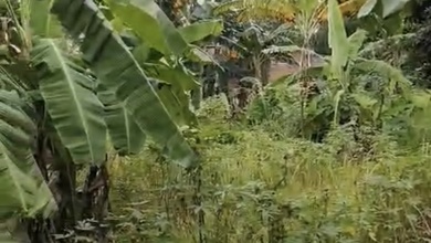 Tanah Elit Dijual di Mustikajaya, Bekasi, Harga 9,52 Triliun