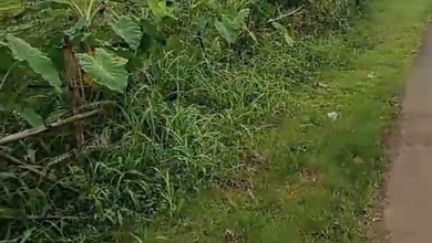 Jual Tanah di Lokasi Premium Bogor Barat, Bogor, Harga 1,2 Miliar