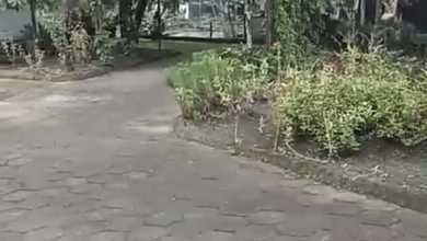 Dijual rumah Eksklusif di Sleman, Sleman - LT 950m²