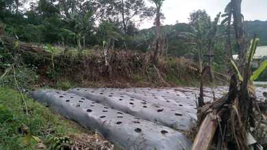 Kavling Prestisius Dijual di Subang, Kuningan, Harga 3,9 Miliar