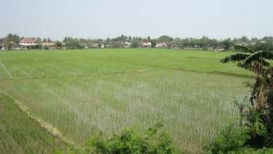 Dijual Tanah Eksklusif di Cabang Bungin, Bekasi, LT 40m²