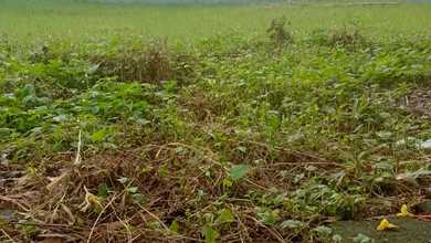 For Sale Tanah Premium di Cakung, Jakarta Timur, LT 280m²