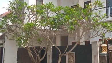Jual Rumah 160 di Jimbaran, Badung