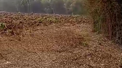 Tanah Elit Dijual di Cisauk, Tangerang, Harga 21 Miliar