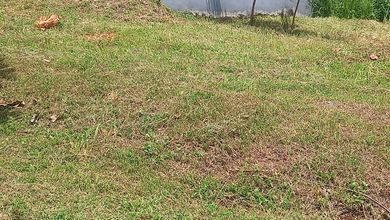 Dijual Tanah Premium di Ciputat Timur, Tangerang Selatan, LT 200m²