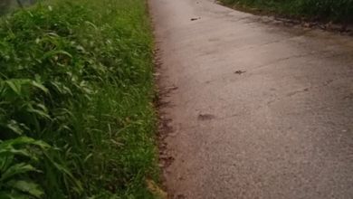 For Sale Tanah Eksklusif di Puncak, Bogor, LT 12000m²