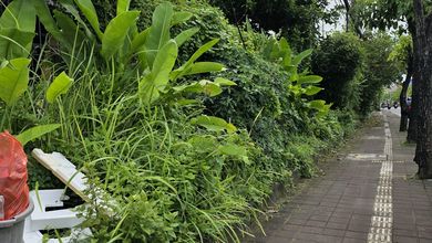 Disewakan Tanah Murah di Benoa, Badung, LT 1000m²