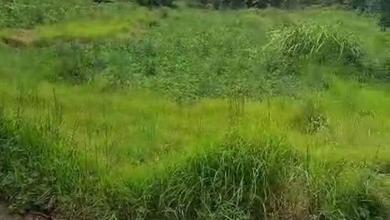 Jual Tanah Terjangkau di Area Tulamben, Karangasem