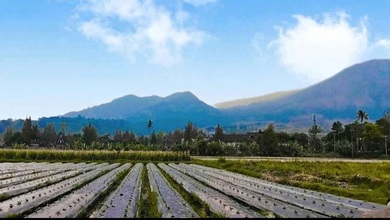 Tanah Elit Dijual di Garut Kota, Garut, Harga 1743 Triliun