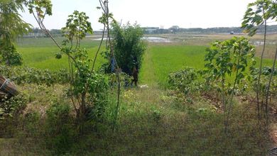 For Sale Tanah Premium di Kendal, Kendal, LT 3700m²