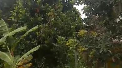 Dijual Tanah Eksklusif di Banyumanik, Semarang, LT 12250m²