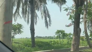 Kavling Prestisius Dijual di Semarang Barat, Semarang, Harga 191 Miliar