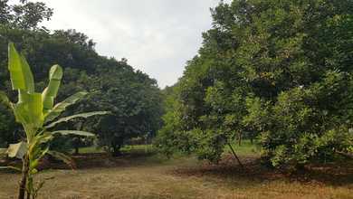 Kavling Prestisius Dijual di Cikupa, Tangerang, Harga 55,5 Miliar