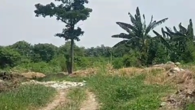 For Sale Tanah Premium di Karawaci, Tangerang, LT 75000m²