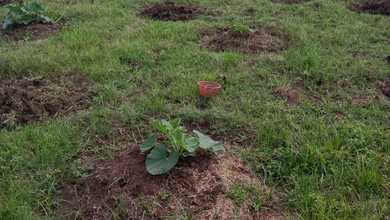 Dijual Tanah Prospektif di Rajeg, Tangerang, LT 2800m²