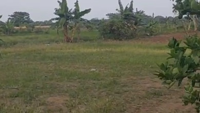 For Sale Tanah Eksklusif di Rajeg, Tangerang, LT 22000m²