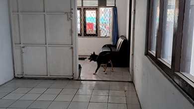 Kesempatan Langka, rumah Mewah di Kartini, Jakarta Pusat, LB 210m²