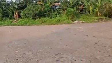 Disewakan Tanah Strategis di Bekasi, Bekasi, Lokasi Prime