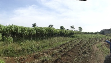 Dijual Tanah Eksklusif di Ciseeng, Bogor, LT 10498m²