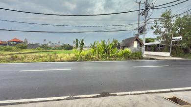 Disewakan Tanah Terjangkau di Seseh, Badung, LT 400m²