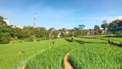 Tanah Elit Dijual di Jatinangor, Bandung, Harga 45 Miliar