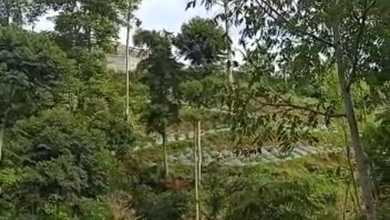 Dijual Tanah Eksklusif di Cisarua, Bandung Barat, LT 3000m²