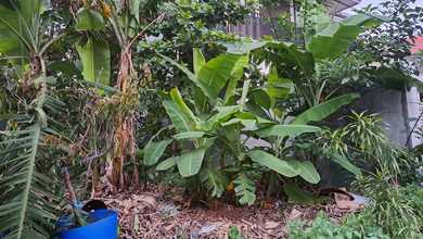 Jual Tanah di Lokasi Premium Cipayung, Jakarta Timur, Harga 2,5 Miliar