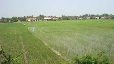 Kavling Prestisius Dijual di Cabang Bungin, Bekasi, Harga 16,2 Miliar