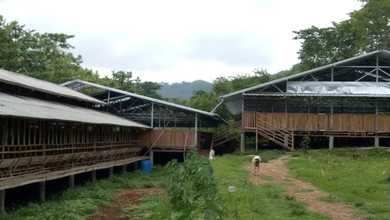 Tanah Elit Dijual di Tanjungsari, Bogor, Harga 4,73 Miliar