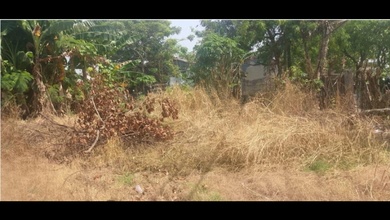 Tanah Nyaman untuk Hunian di Cilincing, Jakarta Utara, Luas 323m²