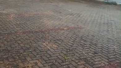 Disewakan Gudang di Jakarta Garden City (JGC) Jakarta