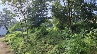 Kesempatan Tanah Strategis di Weleri, Kendal, Harga 1,24 Miliar