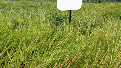 Dijual Tanah Premium di Menganti, Gresik, LT 620m²