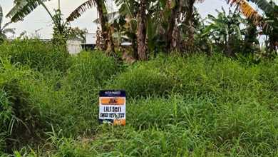 Tanah Ideal untuk Hunian di Sambikerep, Surabaya, Luas 365m²