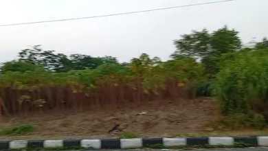 For Sale Tanah Eksklusif di Boyolali Kota, Boyolali, LT 3150m²