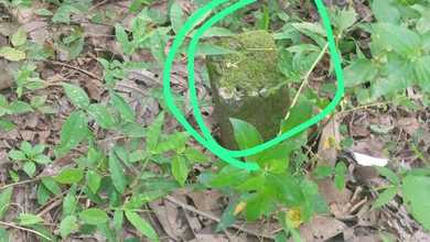 Investasi Tanah Murah di Bawen, Semarang, Luas 3073m²