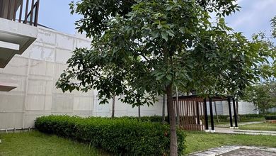 Hunian Mewah di Pantai Indah Kapuk 2, Jakarta Utara, 3 Kamar Tidur, LT 100m²