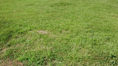 Kavling Prestisius Dijual di Citraland, Surabaya, Harga 976 Miliar