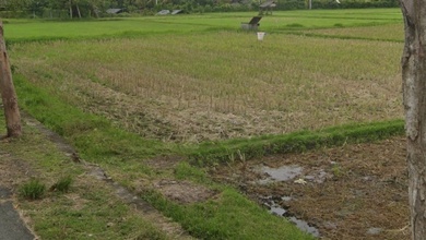 Kavling dengan Harga Terjangkau di Tegalbadeng Barat Jembrana