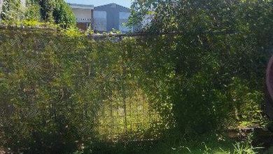 Kavling Prestisius Dijual di Bulak, Surabaya, Harga 230 Miliar