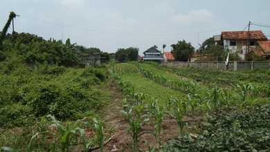 Dijual Tanah Eksklusif di Karawang Timur, Karawang, LT 43000m²