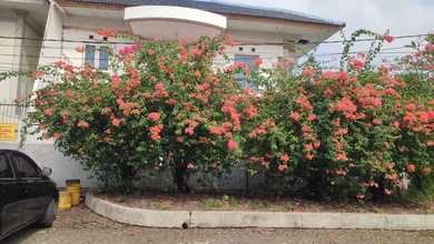 Hunian Elegan di Taman Royal, Tangerang, 4 KT, LT 398m²