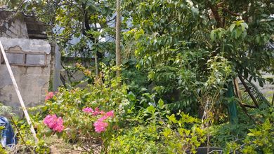 Kesempatan Tanah Strategis di Pagedangan, Tangerang, Harga 1,1 Miliar